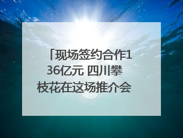 现场签约合作136亿元 四川攀枝花在这场推介会上画“图谱”列“清单”